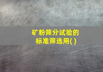 矿粉筛分试验的标准筛选用( )